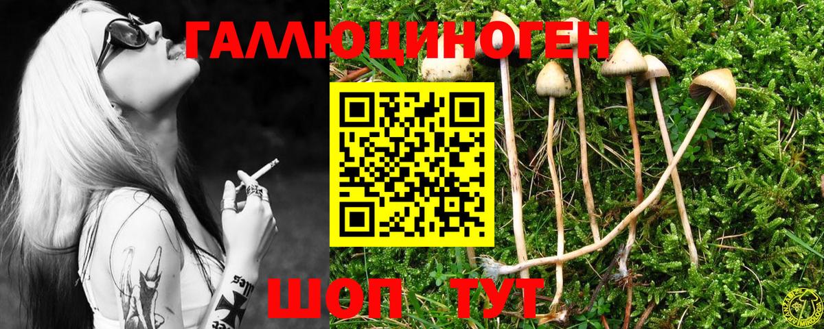 Котельники  Галлюциногенные грибы Magic Shrooms  Вход с VPN 
