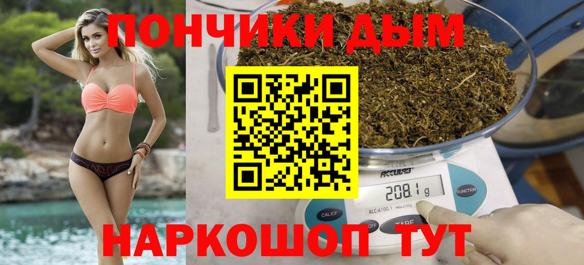 Бошки Шишки ГИДРОПОН Котельники